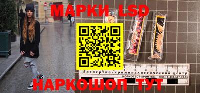 СК Новозыбков