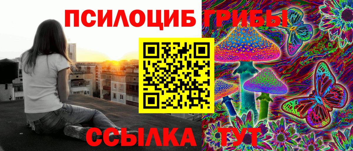 Галлюциногенные грибы мицелий  Вход с VPN  Арзамас  Псилоцибиновые грибы GOLDEN TEACHER 