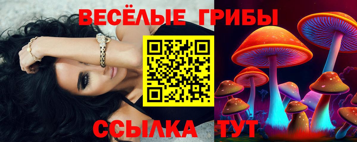 Псилоцибиновые грибы Cubensis Арзамас